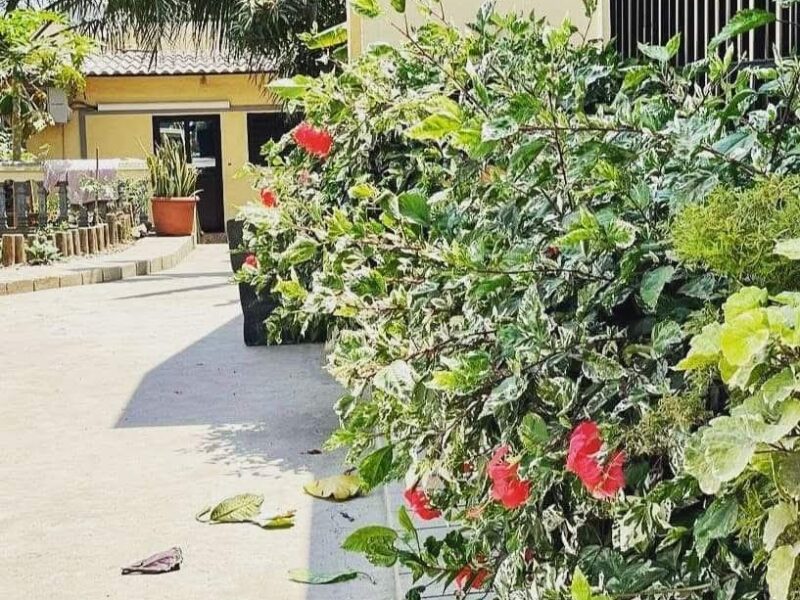 À VENDA DESLUMBRANTE VIVENDA V10