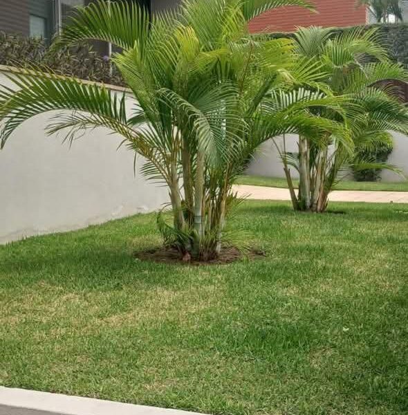 Disponível para arrendamento Moradia Duplex V3+1 Mobilado